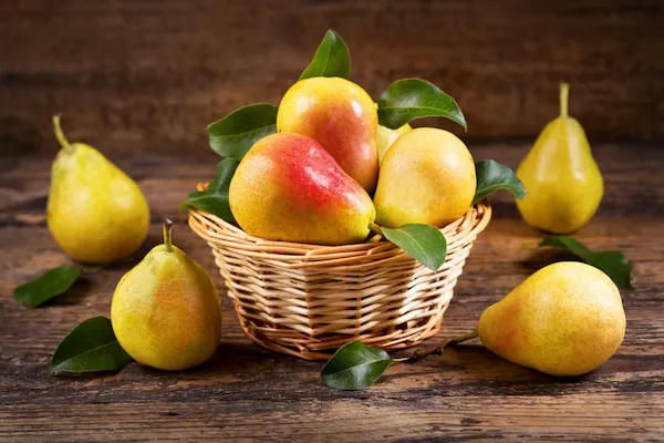 بهترین نهال گلابی بارتلت + قیمت خرید عالی