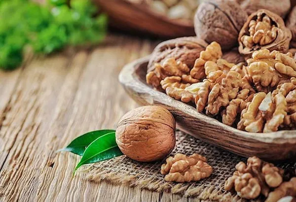 بهترین نهال گردو تویسرکان + قیمت خرید عالی