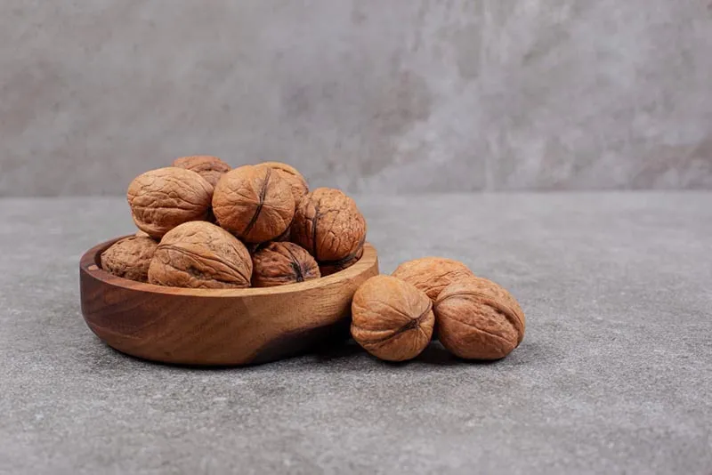 بهترین نهال گردو سوزنی + قیمت خرید عالی